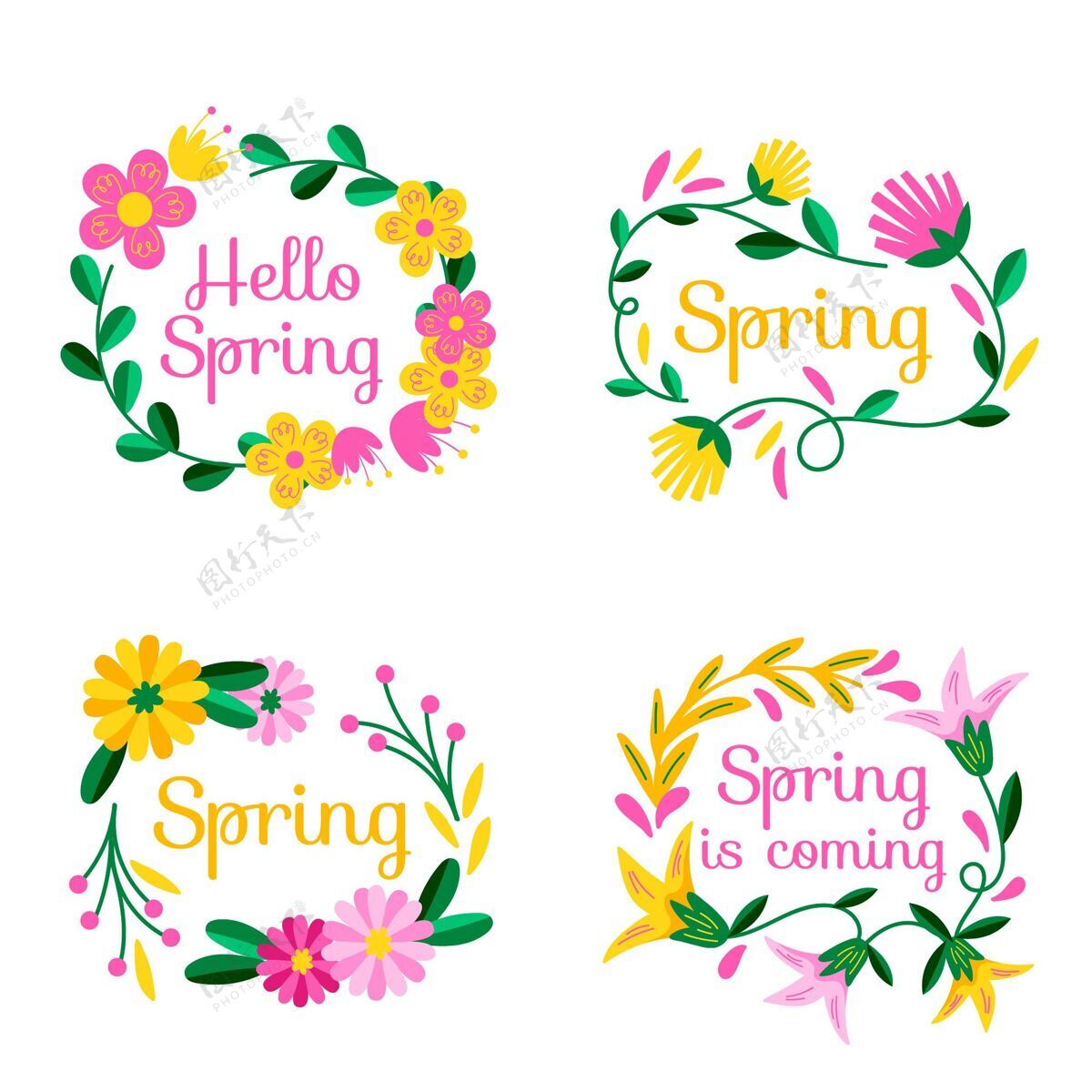 季节手绘春季徽章系列开花设置开花