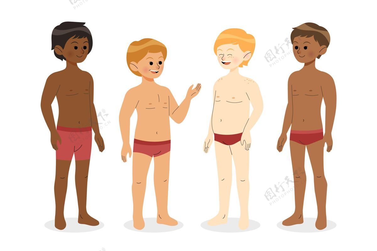成人不同类型的男性体型身体形状姿势人
