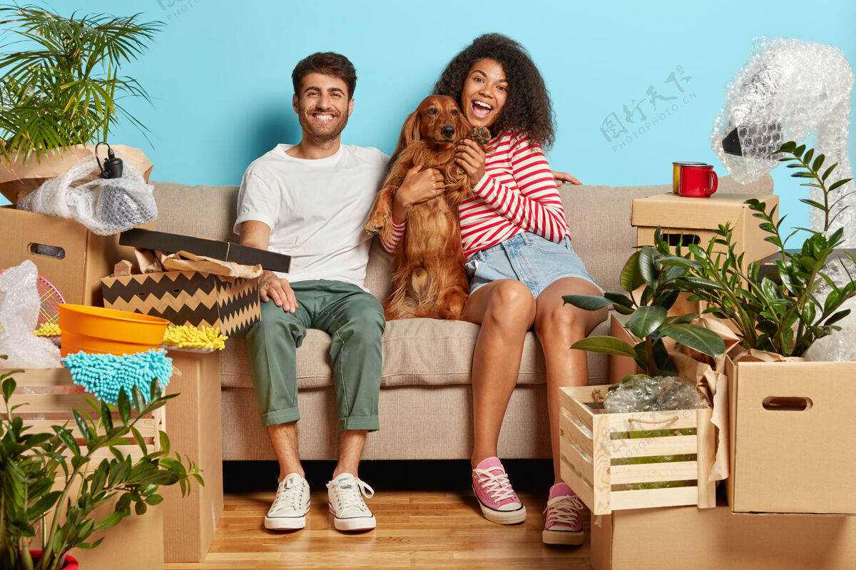 男人一对幸福的夫妇坐在沙发上 狗被纸板箱包围着关系动物抱着