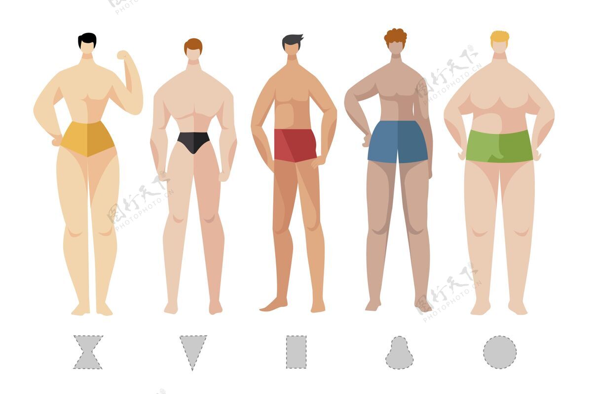 平面手绘平面手绘型的男性体型分类平面身体形状