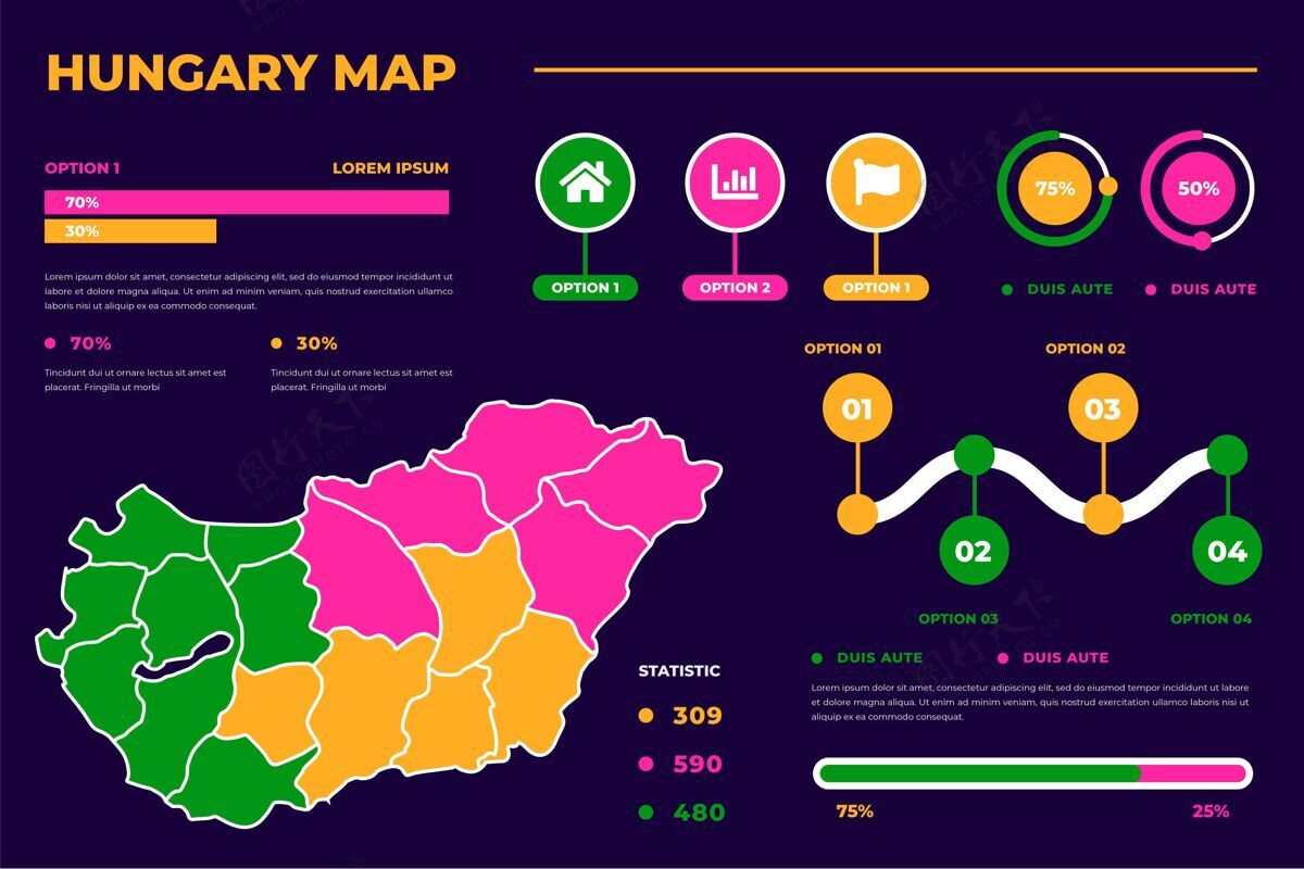 线性线性彩色匈牙利地图信息图国家地图信息图轮廓