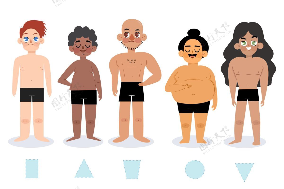 插图卡通类型的男性体型身体形状卡通组