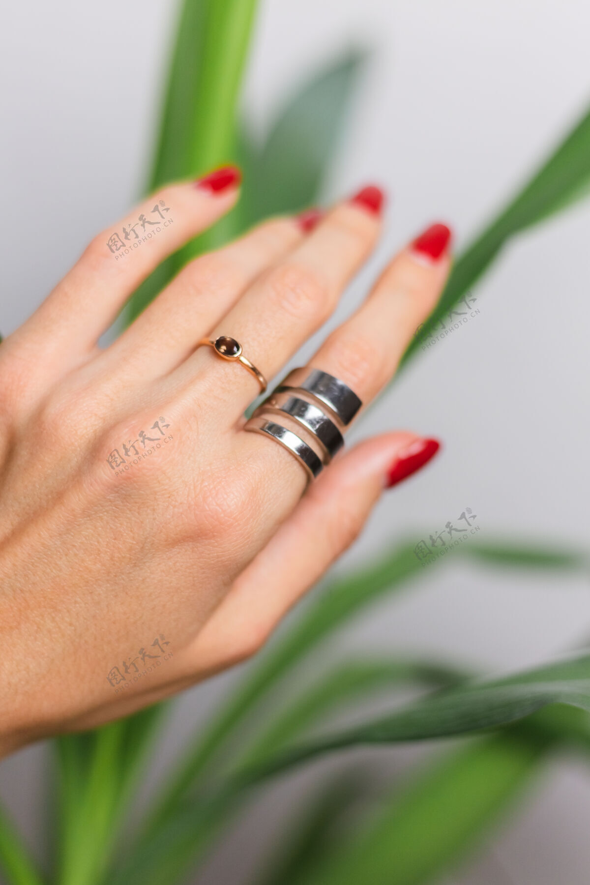 年轻女人的手上有红色的指甲和两个指环 放在美丽的绿色棕榈叶上后面是灰色的墙配件时尚模型