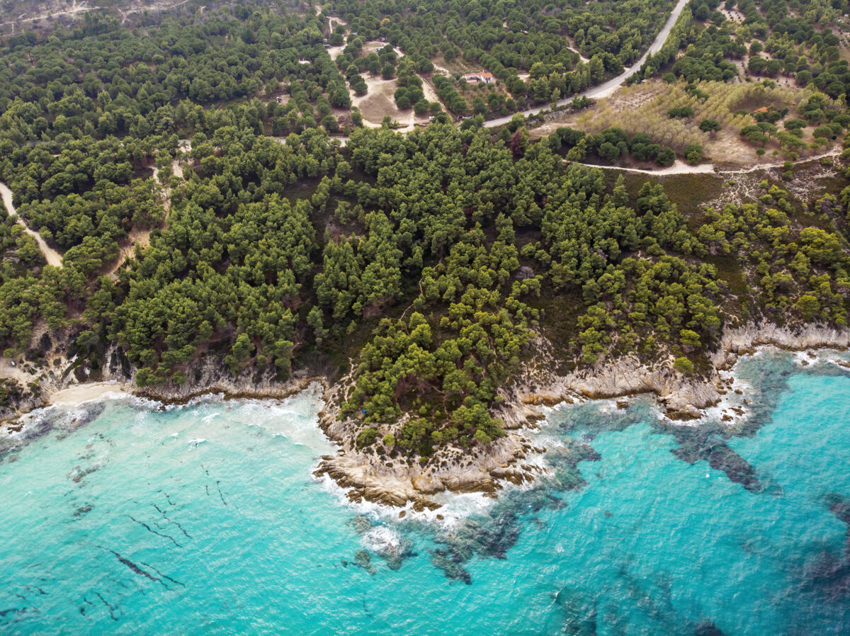 海洋爱琴海沿岸有蓝色透明的海水 周围绿树成荫 岩石 灌木丛和树木 从无人机希腊俯瞰岩石海湾镁砂