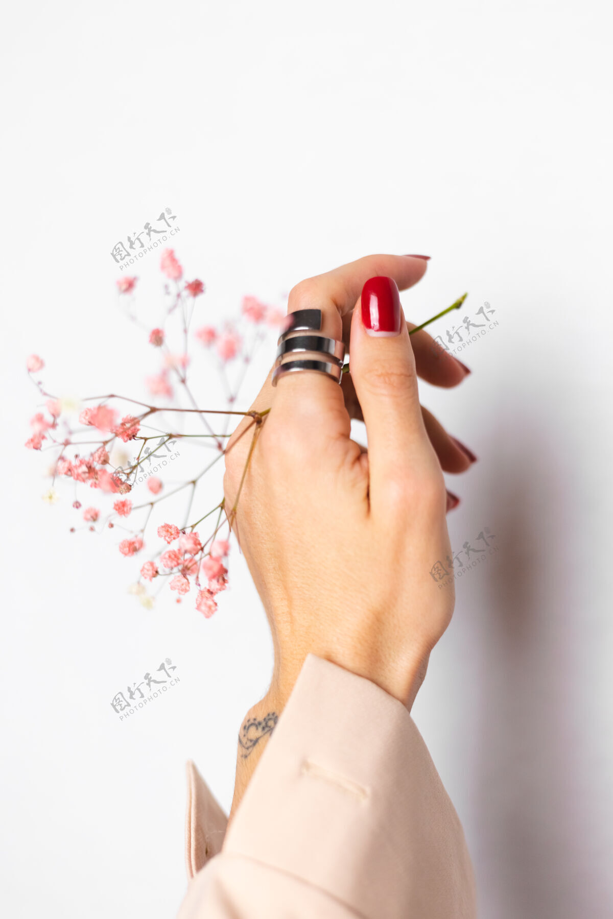 手柔美温柔的照片 女人手上戴着大戒指 红色的指甲 手上拿着可爱的粉色干花植物学最小美甲