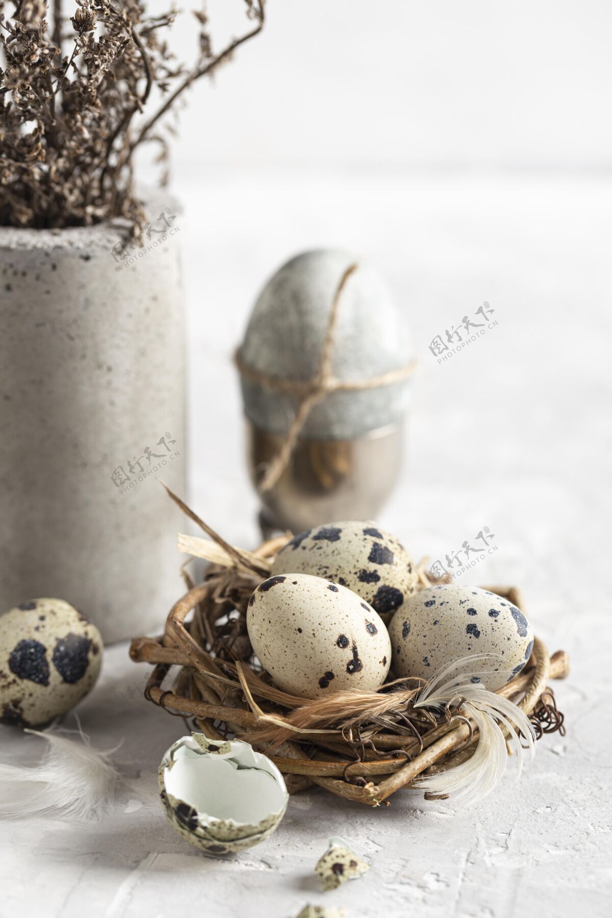 假日高角度的复活节彩蛋在树枝上用花瓶筑巢树枝基督教复活节