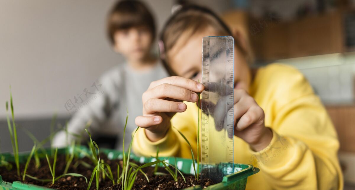 农学小女孩在家里测量芽苗菜的正面图农业栽培庭院