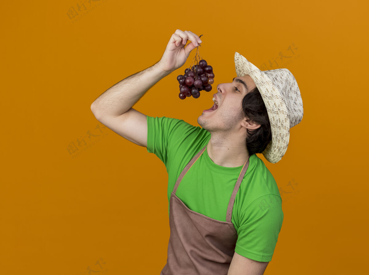 葡萄穿着围裙戴着帽子的年轻园丁站在橙色的背景下 展示着一束葡萄要品尝它立场串围裙