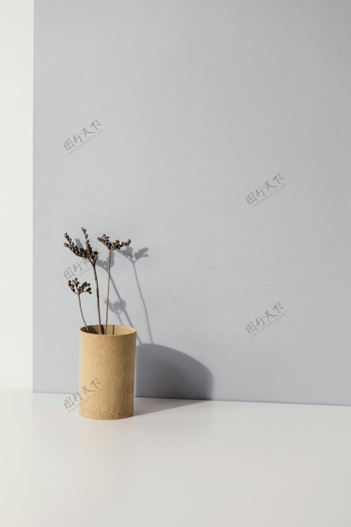 室内抽象最小的植物在一个花瓶复制空间现代自然简约