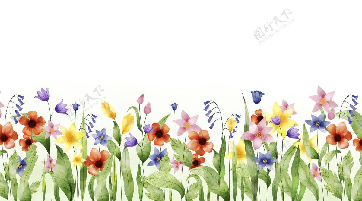 背景春天的背景是水彩画墙纸花自然