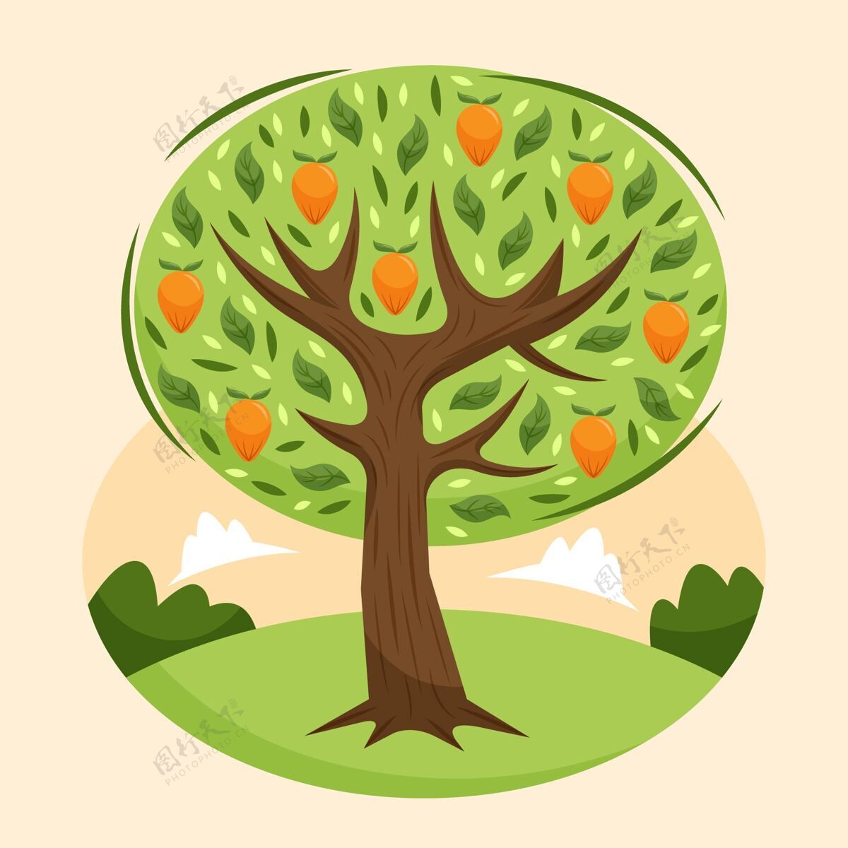 饮食平坦的芒果树设计在绿野上夏季水果健康美味