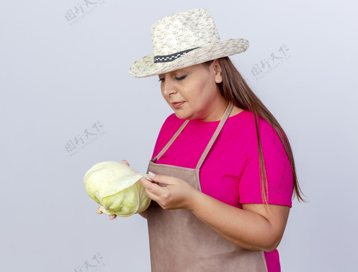 老年人围裙戴帽子的中年园丁妇女抱着卷心菜站在白色的背景下饶有兴趣地看着它园丁白的抱着