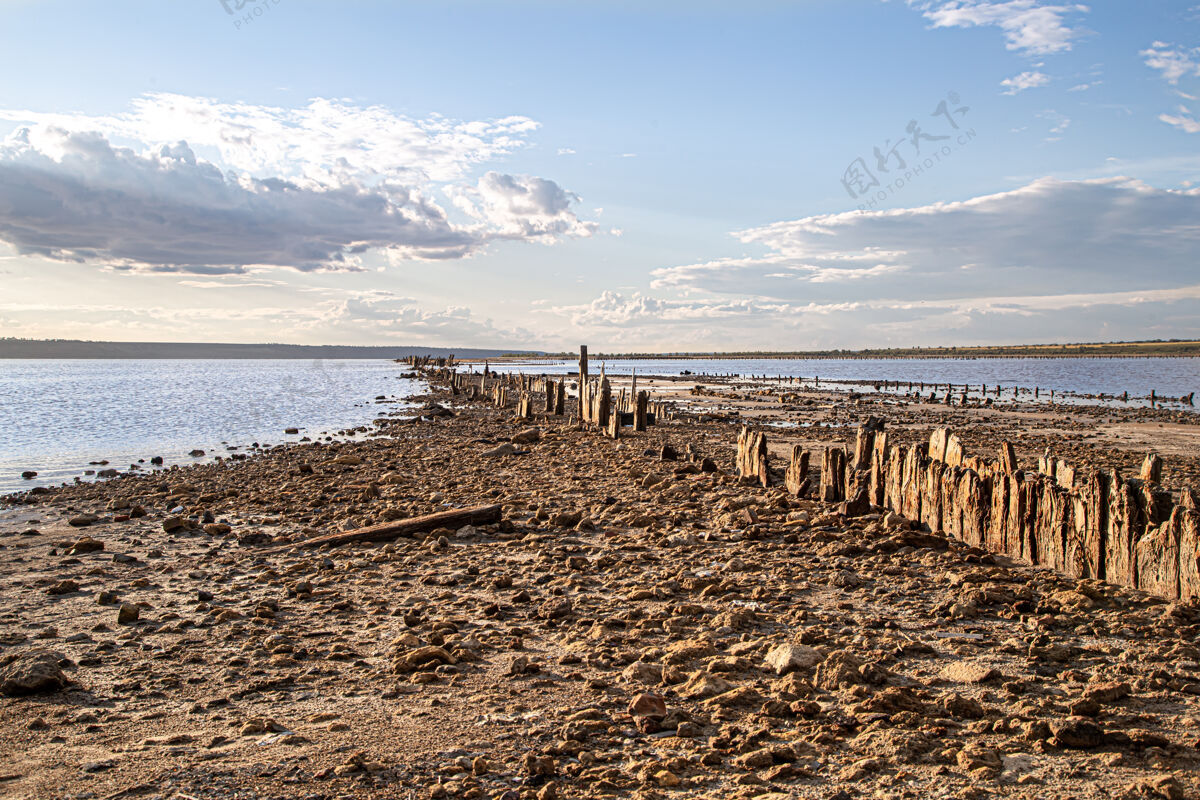 沙滩一个死湖和古老的盐原木从水里探出风景天空自然