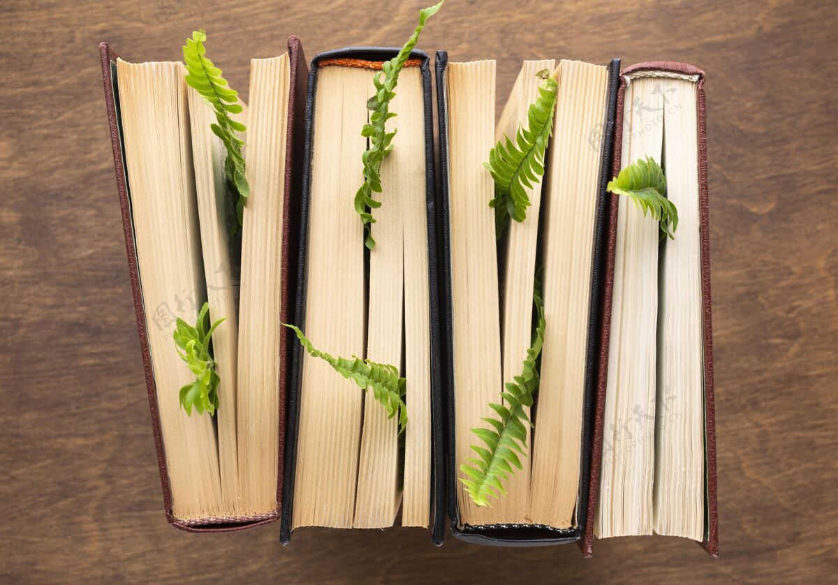 环境俯瞰书籍和植物布置植被教育日构成