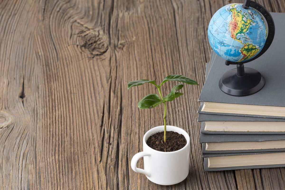 日整理书籍和盆栽植物教育日环境植物