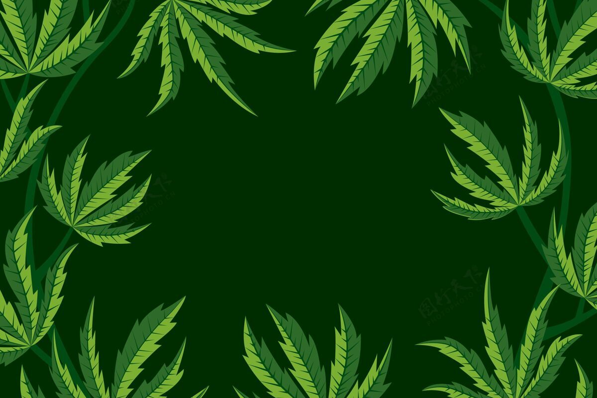 药物植物大麻叶背景法律叶子墙纸