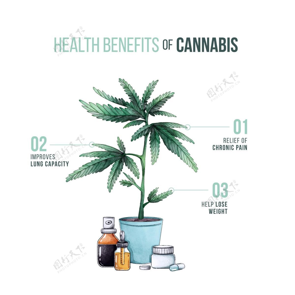 药草hemp信息图的目的植物医学大麻