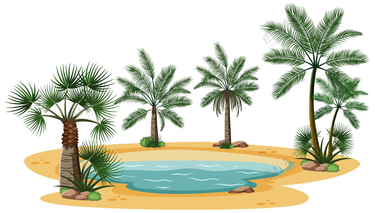 明亮沙漠景观与自然树木的白色背景元素卡通剪贴画干